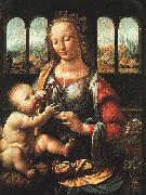  Leonardo  Da Vinci The Madonna of the Carnation oil painting
